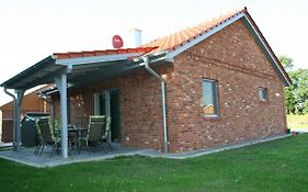 Holunder Hüsken